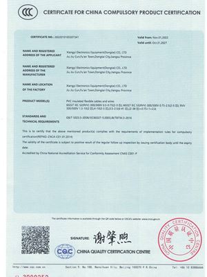 CCC證書 翔宜（東臺）.pdf-img-4-0