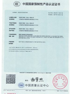 CCC證書 翔宜（東臺）.pdf-img-3-0