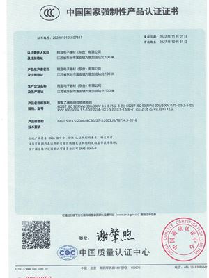 CCC證書 翔宜（東臺）.pdf-img-5-0